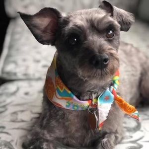 Meet your Posher, Kim